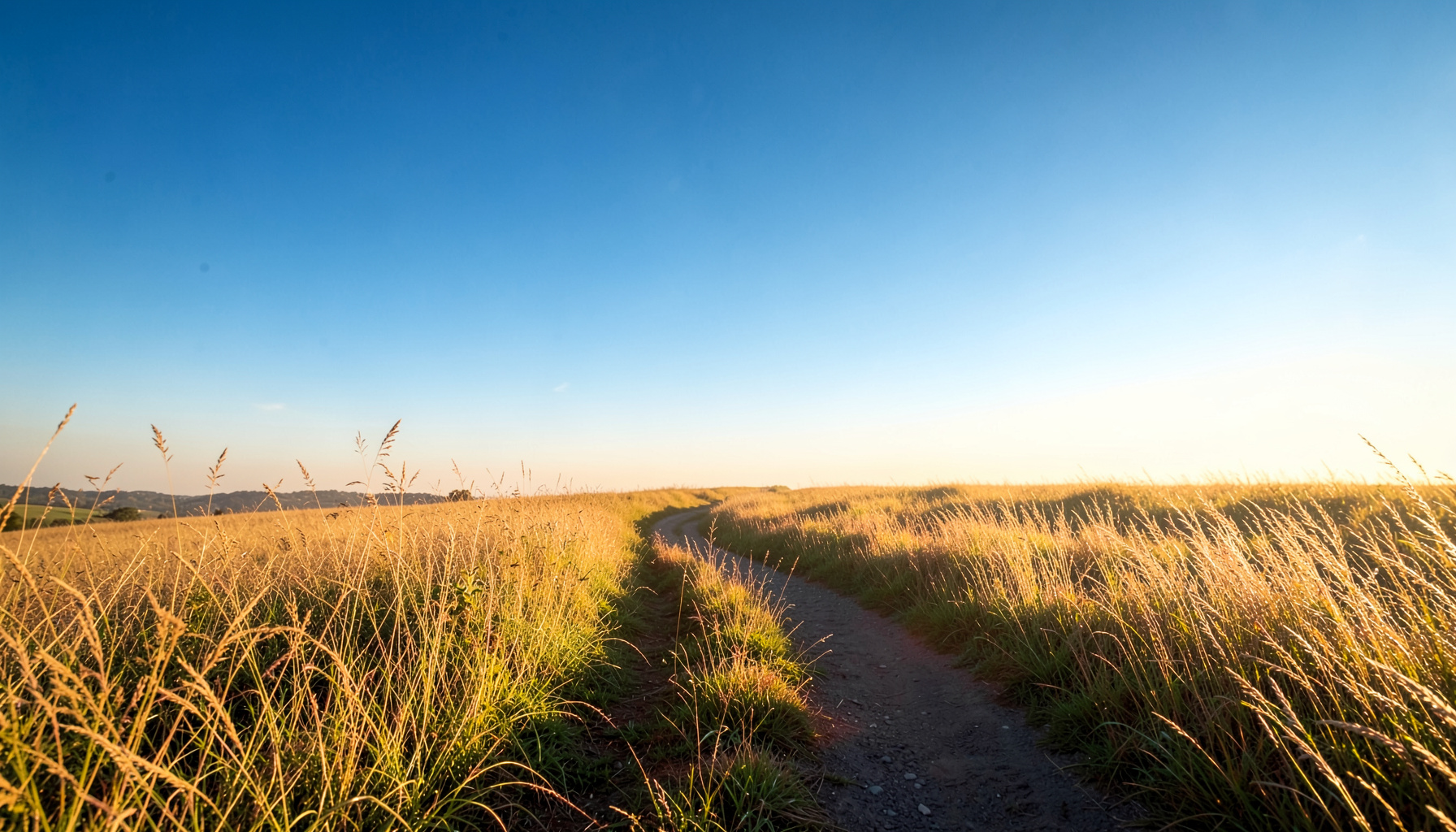 A winding path through a sun-drenched meadow, golden grasses swaying under a bright blue sky